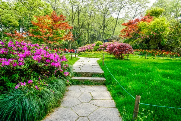 Sopralluogo e pianificazione manutenzione giardino