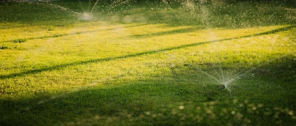 Impianto d'irrigazione automatizzato per giardino in Ticino