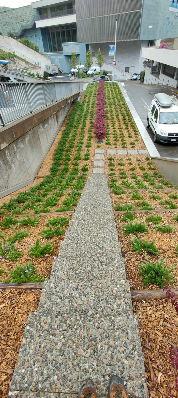 Approccio professionale costruzione giardini