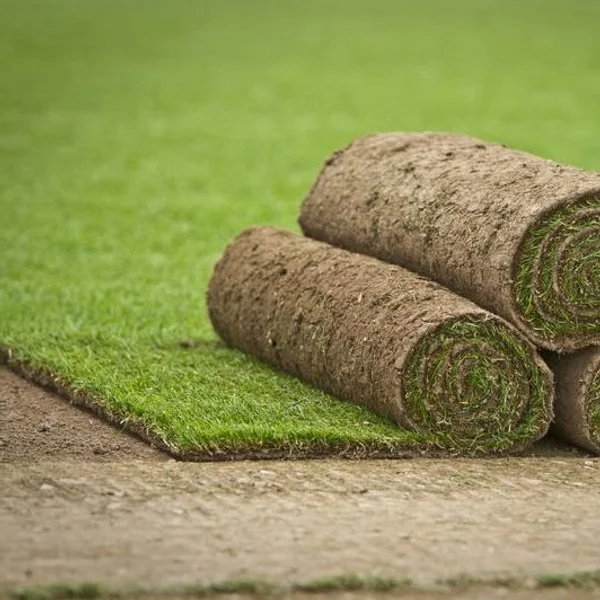 Posa prato a rotoli pronto effetto Ticino
