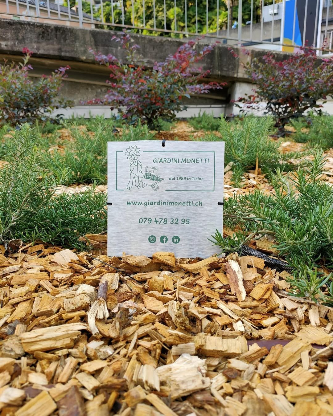 Giardino professionale curato da Giardini Monetti SA in Ticino